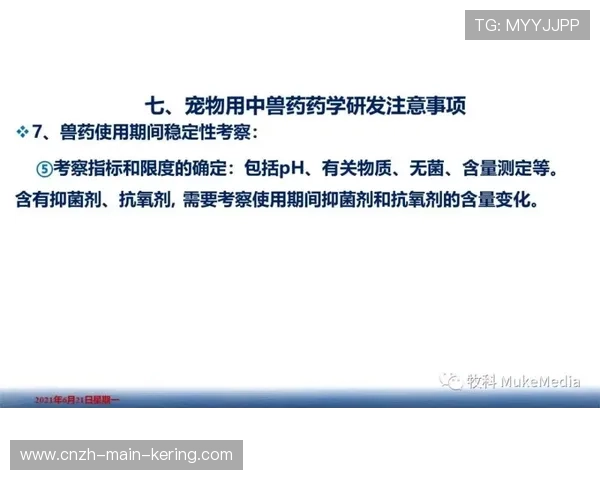 琑队如何完善青训选材的公正、透明与数据化流程，青训队要求