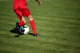 kaiyun体育综合-篮球运动员心理韧性培养及心理干预体系建设，篮球运动员心理素质的重要性