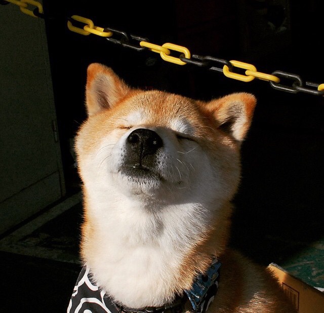 转身效率提升，中立B技术改革见效，中立ah