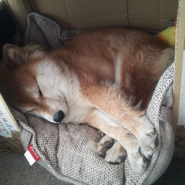 转身效率提升，中立B技术改革见效，中立ah